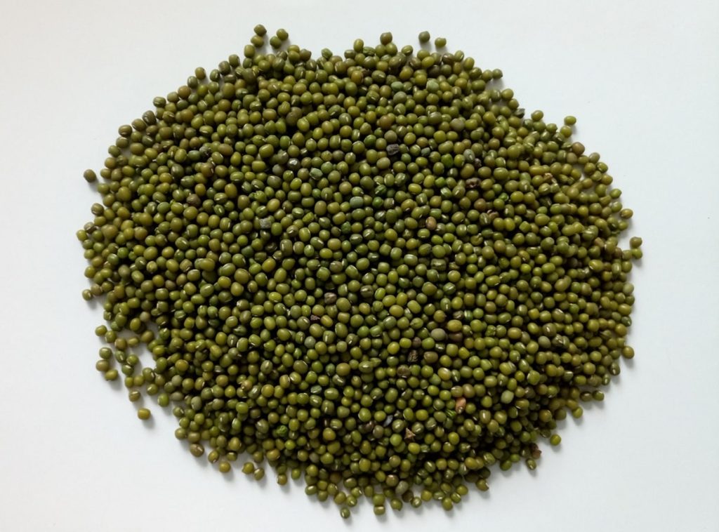 Green Mung Bean