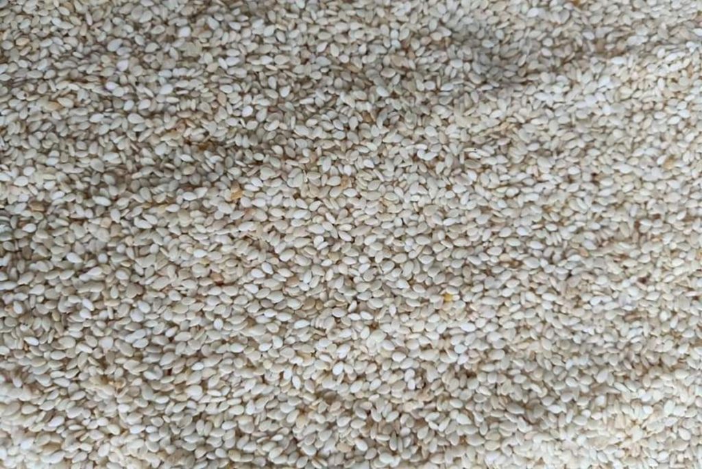 Sesame Seed